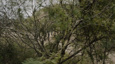 Click to view full size image
==============
ftwd608_scnet_2321.jpg ftwd608_scnet_2321.jpg