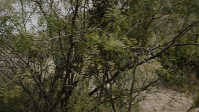 ftwd608_scnet_2322.jpg