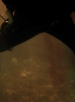 ftwd608_scnet_2090.jpg