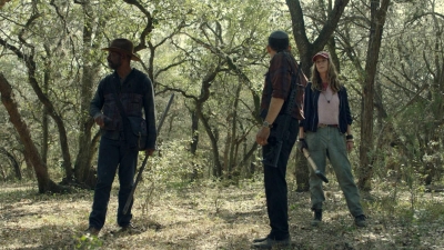 Click to view full size image
==============
ftwd610_scnet_1719.jpg ftwd610_scnet_1719.jpg