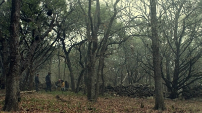 ftwd610_scnet_1776.jpg