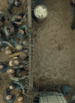 ftwd610_scnet_1203.jpg