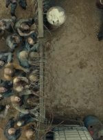 ftwd610_scnet_1206.jpg