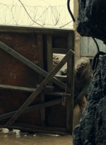 ftwd610_scnet_1211.jpg