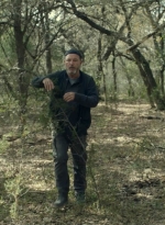 ftwd610_scnet_1727.jpg