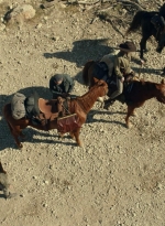 ftwd610_scnet_2602.jpg