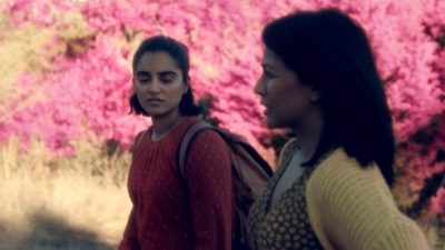 ftwd612_scnet_1419.jpg