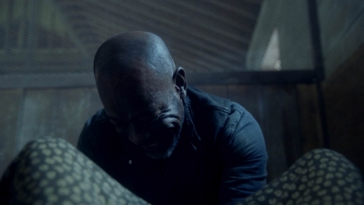 ftwd612_scnet_2460.jpg