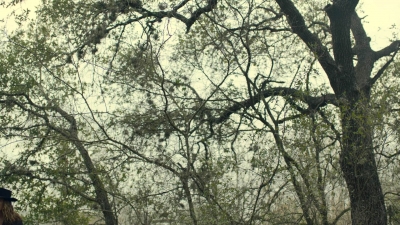 ftwd613_scnet_0384.jpg