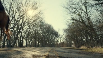 ftwd613_scnet_0652.jpg