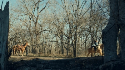 ftwd613_scnet_0747.jpg