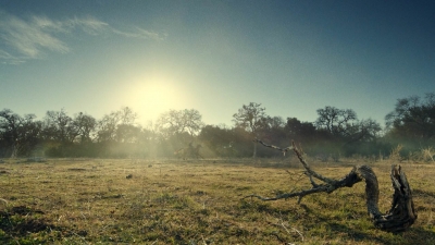 ftwd613_scnet_0968.jpg