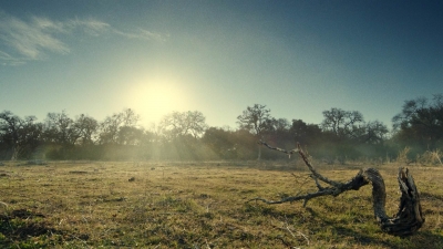 ftwd613_scnet_0971.jpg