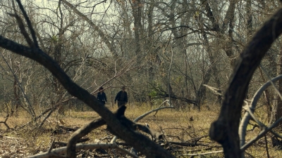 ftwd613_scnet_1368.jpg