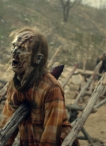 ftwd613_scnet_0011.jpg