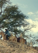 ftwd613_scnet_0280.jpg