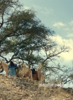 ftwd613_scnet_0282.jpg