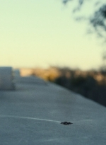 ftwd613_scnet_0620.jpg