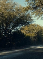 ftwd613_scnet_0621.jpg