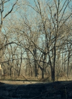 ftwd613_scnet_0744.jpg