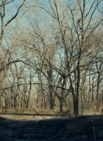 ftwd613_scnet_0747.jpg