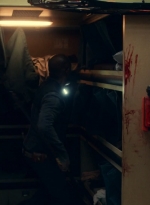 ftwd615_scnet_1920.jpg