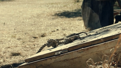 ftwd616_scnet_0869.jpg