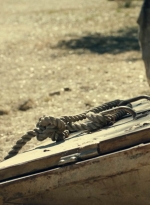 ftwd616_scnet_0868.jpg