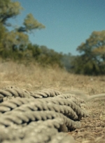 ftwd616_scnet_0873.jpg