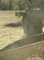 ftwd616_scnet_0883.jpg