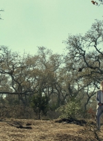 ftwd616_scnet_1150.jpg