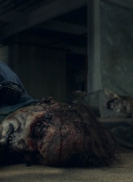 ftwd616_scnet_1397.jpg
