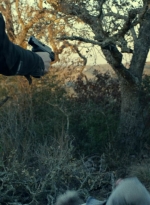 ftwd616_scnet_2255.jpg