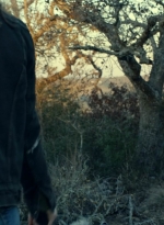 ftwd616_scnet_2256.jpg