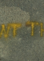 ftwd616_scnet_2340.jpg