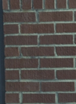 WD1012526.jpg