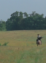 WD1013324.jpg