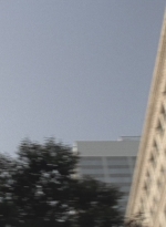 WD1013495.jpg