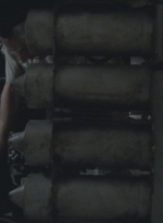 WD1013617.jpg