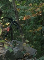 twd1x03_0623.jpg