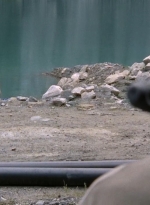twd1x03_1113.jpg