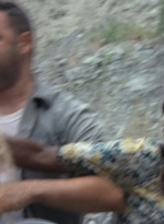 twd1x03_1117.jpg