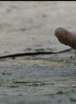twd1x03_1162.jpg