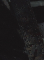 WD104BD_6963.jpg