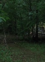 twd2x01_1123.jpg