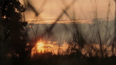 twd2x02_0838.jpg
