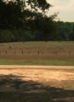 twd2x02_0114.jpg