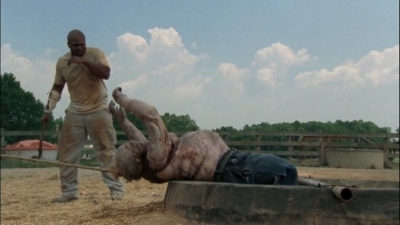 twd2x04_0577.jpg