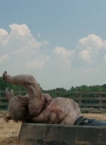 twd2x04_0576.jpg