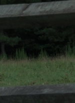 twd2x04_0627.jpg
